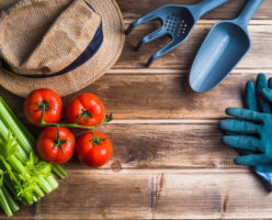 food & Safety